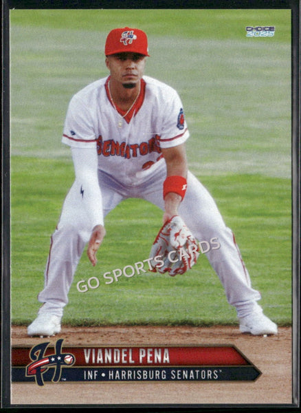 2025 Harrisburg Senators Viandel Pena