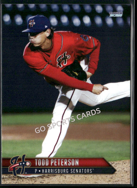 2025 Harrisburg Senators Todd Peterson