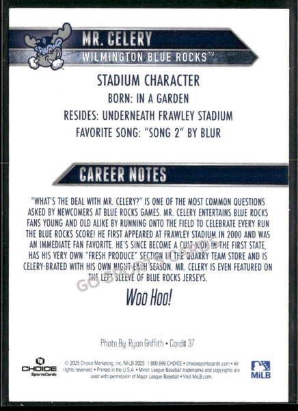 2025 Wilmington Blue Rocks Mr Celery Mascot