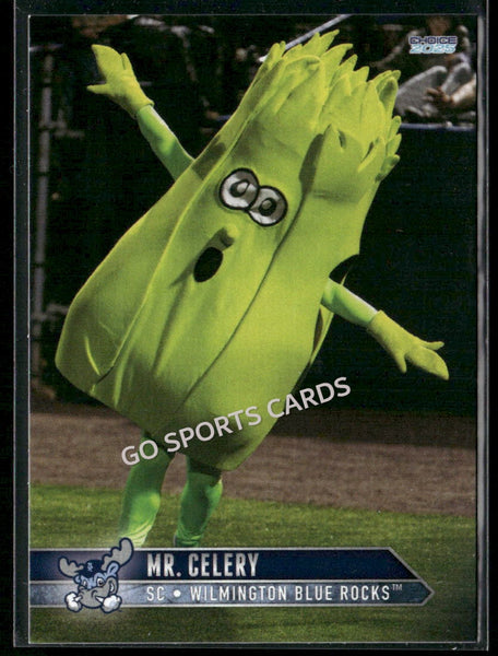 2025 Wilmington Blue Rocks Mr Celery Mascot