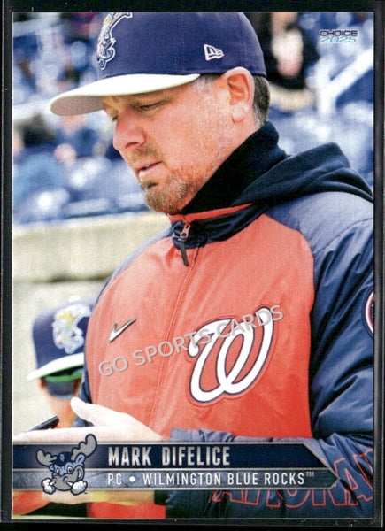 2025 Wilmington Blue Rocks Mark DiFelice