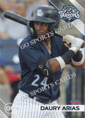 2023 Tampa Tarpons Daury Arias