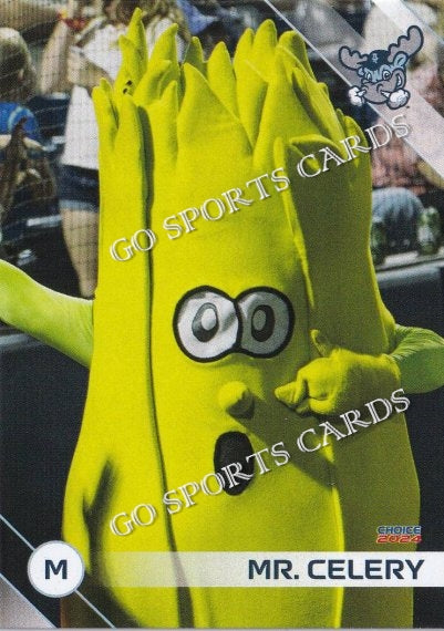 2024 Wilmington Blue Rocks Mr Celery Mascot