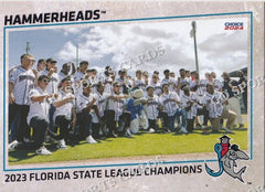 2024 Jupiter Hammerheads FSL Champions Team Photo – Go Sports Cards