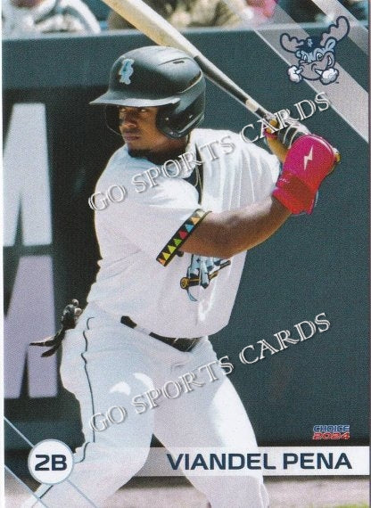 2024 Wilmington Blue Rocks Viandel Pena