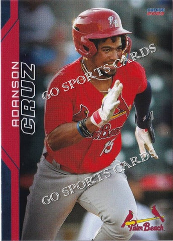 2023 Palm Beach Cardinals Adanson Cruz