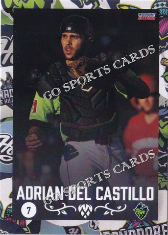 2022 Hillsboro Hops Adrian Del Castillo