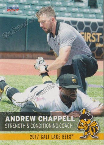 2017 Salt Lake Bees Andrew Chappell