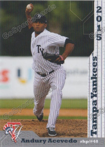 2015 Tampa Yankees Andury Acevedo