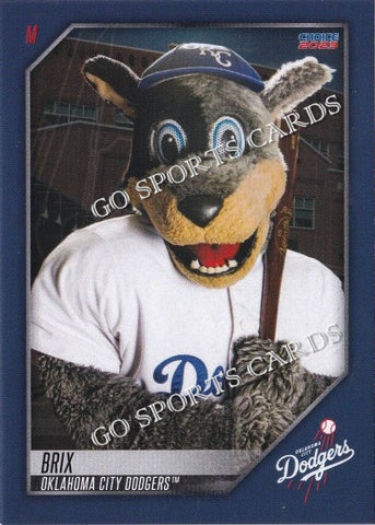 2023 Oklahoma City Dodgers Brix Mascot