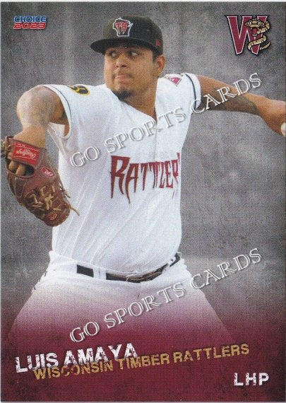2023 Wisconsin Timber Rattlers Luis Amaya