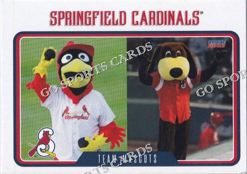 2023 Springfield Cardinals Louie Fetch Mascot