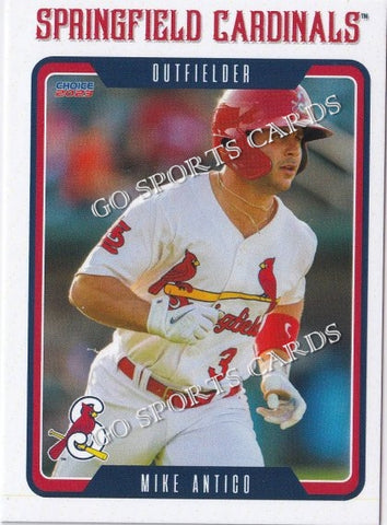 2023 Springfield Cardinals Mike Antico