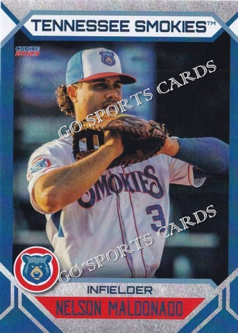 2023 Tennessee Smokies Nelson Maldonado