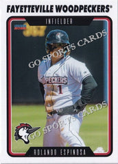 thumbnail image 2 of 2024 Choice Fayetteville Woodpeckers Team Set – Baseball Trading Cards – You Pick, Free Shipping 2 of 4