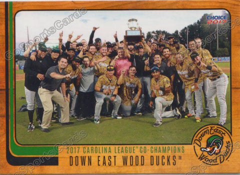 2017 Down East Wood Ducks Championship Team Photo