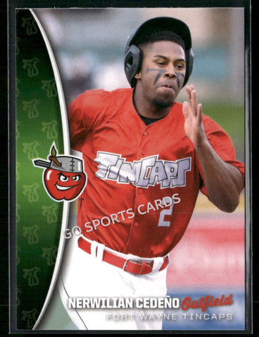 2025 Fort Wayne TinCaps Nerwilian Cerdeno