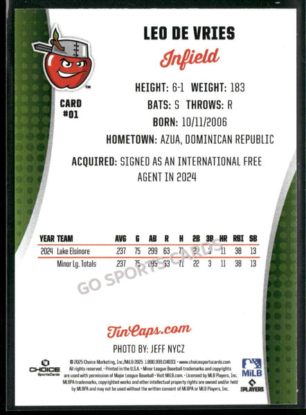 2025 Fort Wayne TinCaps Leo De Vries