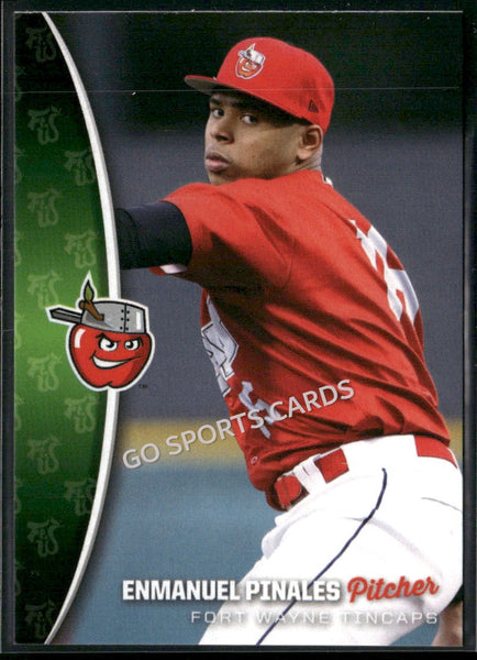 2025 Fort Wayne TinCaps Enmanuel Pinales