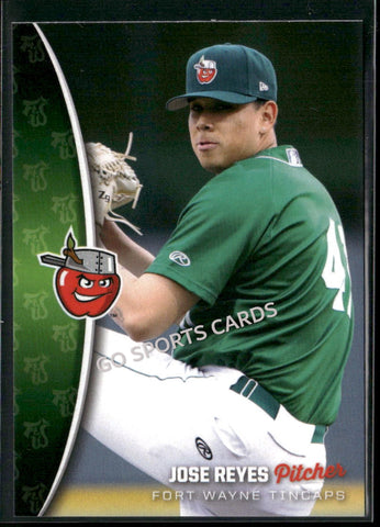 2025 Fort Wayne TinCaps Jose Luis Reyes