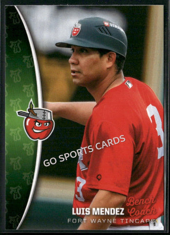 2025 Fort Wayne TinCaps Luis Mendez