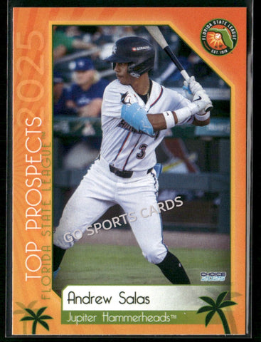 2025 Florida State League Top Prospects Andrew Salas