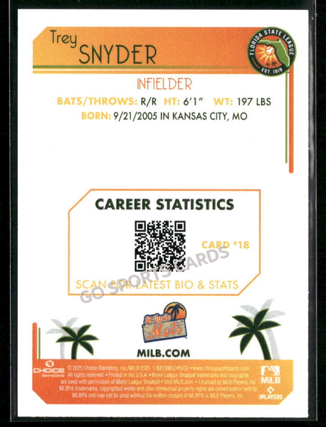 2025 Florida State League Top Prospects Trey Snyder