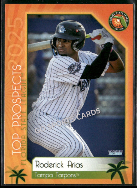 2025 Florida State League Top Prospects Roderick Arias