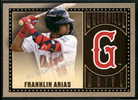 2025 Greenville Drive Franklin Arias