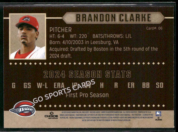 2025 Greenville Drive Brandon Clarke