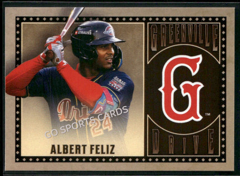 2025 Greenville Drive Albert Feliz