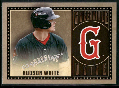2025 Greenville Drive Hudson White