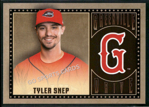 2025 Greenville Drive Tyler Snep