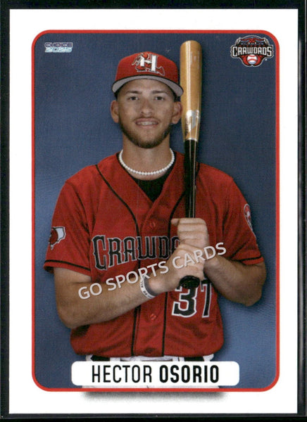 2025 Hickory Crawdads 1st Hector Osorio