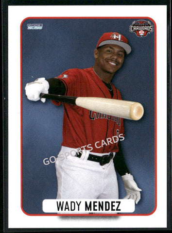 2025 Hickory Crawdads 1st Wady Mendez