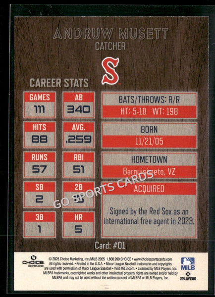 2025 Salem Red Sox Andruw Musett