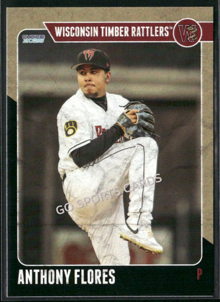 2025 Wisconsin Timber Rattlers Anthony Flores