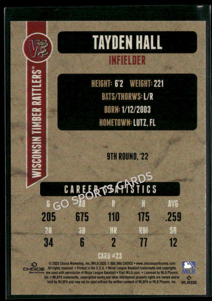 2025 Wisconsin Timber Rattlers Tayden Hall