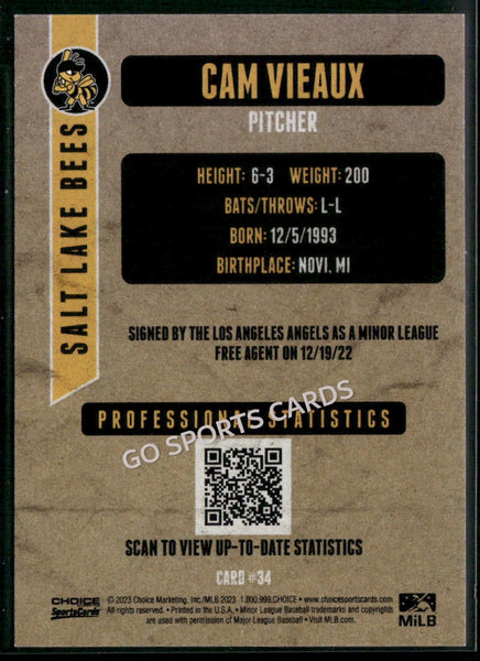 2023 Salt Lake Bees Cam Vieaux