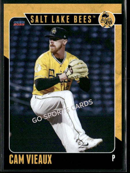 2023 Salt Lake Bees Cam Vieaux