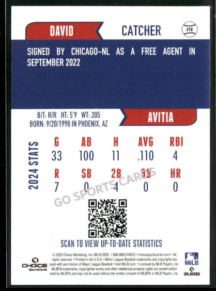 2025 South Bend Cubs David Avitia