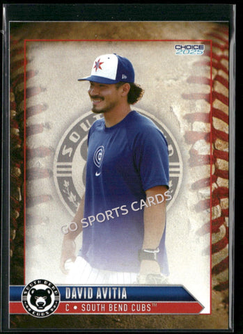2025 South Bend Cubs David Avitia