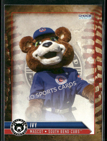 2025 South Bend Cubs Ivy Mascot