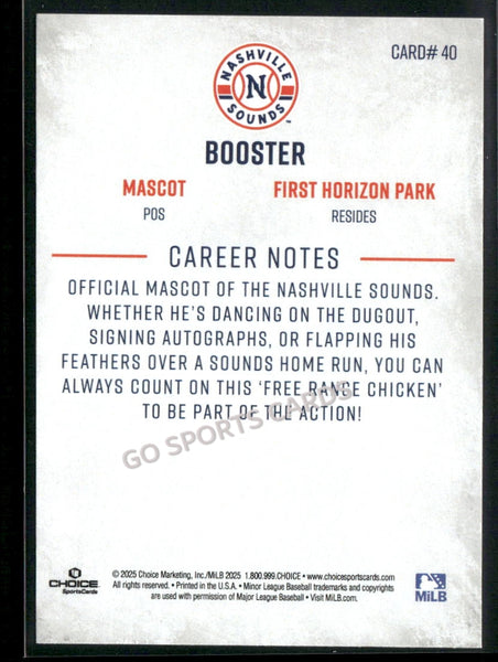 2025 Nashville Sounds Booster Mascot