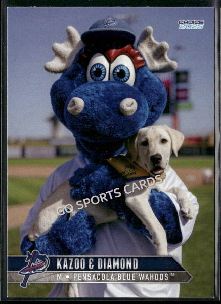 2025 Pensacola Blue Wahoos Kazoo Mascot Diamond Dog
