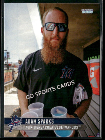 2025 Pensacola Blue Wahoos Adam Sparks