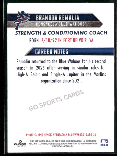2025 Pensacola Blue Wahoos Brandon Remalia