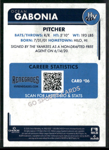 2025 Hudson Valley Renegades Ocean Gabonia