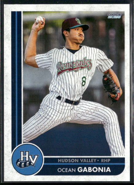 2025 Hudson Valley Renegades Ocean Gabonia