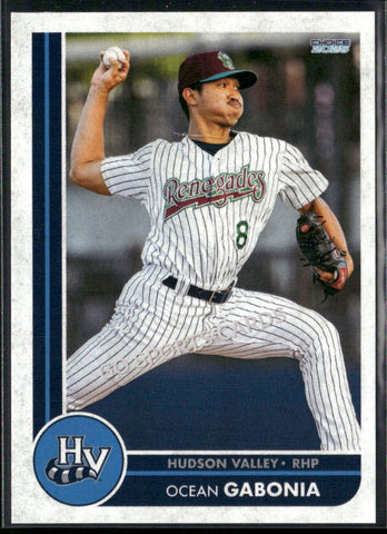 2025 Hudson Valley Renegades Ocean Gabonia